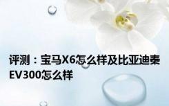 评测：宝马X6怎么样及比亚迪秦EV300怎么样