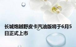长城炮越野皮卡汽油版将于6月5日正式上市