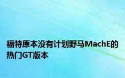 福特原本没有计划野马MachE的热门GT版本