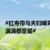 #红寿带鸟夫妇哺育幼鸟满满都是爱#