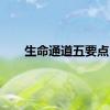 生命通道五要点