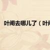 叶阐去哪儿了（叶阐）
