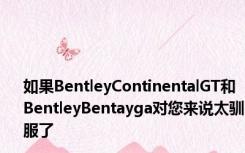 如果BentleyContinentalGT和BentleyBentayga对您来说太驯服了