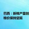 巴西：新棉产量创新高 棉价保持坚挺