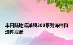 丰田陆地巡洋舰300系列饰件和选件泄漏