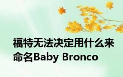 福特无法决定用什么来命名Baby Bronco