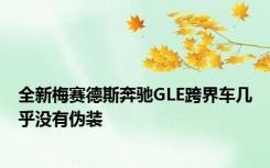 全新梅赛德斯奔驰GLE跨界车几乎没有伪装
