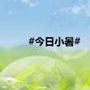 #今日小暑#