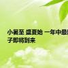 小暑至 盛夏始 一年中最热的日子即将到来