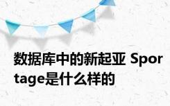 数据库中的新起亚 Sportage是什么样的