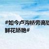 #如今卢沟桥旁高铁飞驰鲜花娇艳#