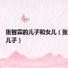 张智霖的儿子和女儿（张智霖的儿子）