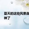 夏天的这些风景直接封神了