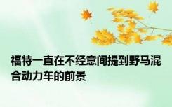 福特一直在不经意间提到野马混合动力车的前景