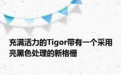 充满活力的Tigor带有一个采用亮黑色处理的新格栅