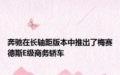 奔驰在长轴距版本中推出了梅赛德斯E级商务轿车