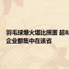 羽毛球爆火堪比掼蛋 超8成生产企业都集中在该省