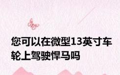 您可以在微型13英寸车轮上驾驶悍马吗