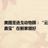 美国圣迭戈动物园：“云川”“鑫宝”在新家很好