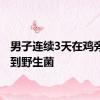 男子连续3天在鸡旁边捡到野生菌