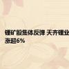 锂矿股集体反弹 天齐锂业等多股涨超6%