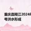 重庆嘉陵江2024年第1号洪水形成
