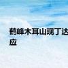 鹤峰木耳山现丁达尔效应
