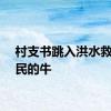 村支书跳入洪水救回村民的牛
