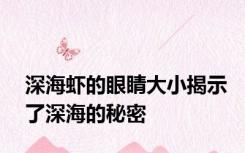 深海虾的眼睛大小揭示了深海的秘密