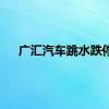 广汇汽车跳水跌停