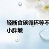 轻断食碳循环等不适合小胖墩