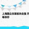 上海国企改革板块走强 开开实业等涨停