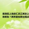 退潮后上海徐汇滨江滩涂上趴着一条鳄鱼？两年前也曾出现过