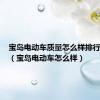 宝岛电动车质量怎么样排行第几名（宝岛电动车怎么样）