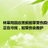 林草局回应黑熊前掌受伤蹲坐路旁：正在寻找，如受伤会救护