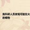 我科研人员发现可能在火星存活的植物