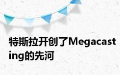 特斯拉开创了Megacasting的先河
