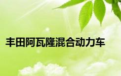 丰田阿瓦隆混合动力车
