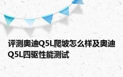 评测奥迪Q5L爬坡怎么样及奥迪Q5L四驱性能测试