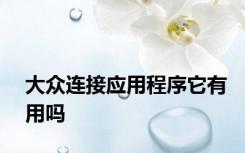 大众连接应用程序它有用吗