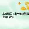 东方精工：上半年净利润同比减少20.50%