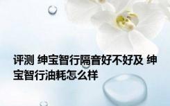 评测 绅宝智行隔音好不好及 绅宝智行油耗怎么样