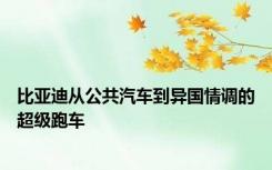 比亚迪从公共汽车到异国情调的超级跑车
