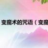变魔术的咒语（变魔术）