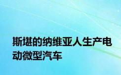 斯堪的纳维亚人生产电动微型汽车