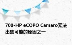 700-HP eCOPO Camaro无法出售可能的原因之一