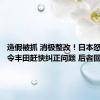 造假被抓 消极整改！日本怒了：责令丰田赶快纠正问题 后者回应