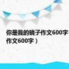 你是我的镜子作文600字（镜子作文600字）