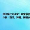 顶流网红企业家！雷军悄悄带了多少货：西瓜、辣酱、防晒衣都火了