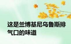 这是兰博基尼乌鲁斯排气口的味道